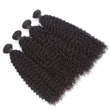 Bundle Deals Kinky Curly Virgin Human Hair Natural Black